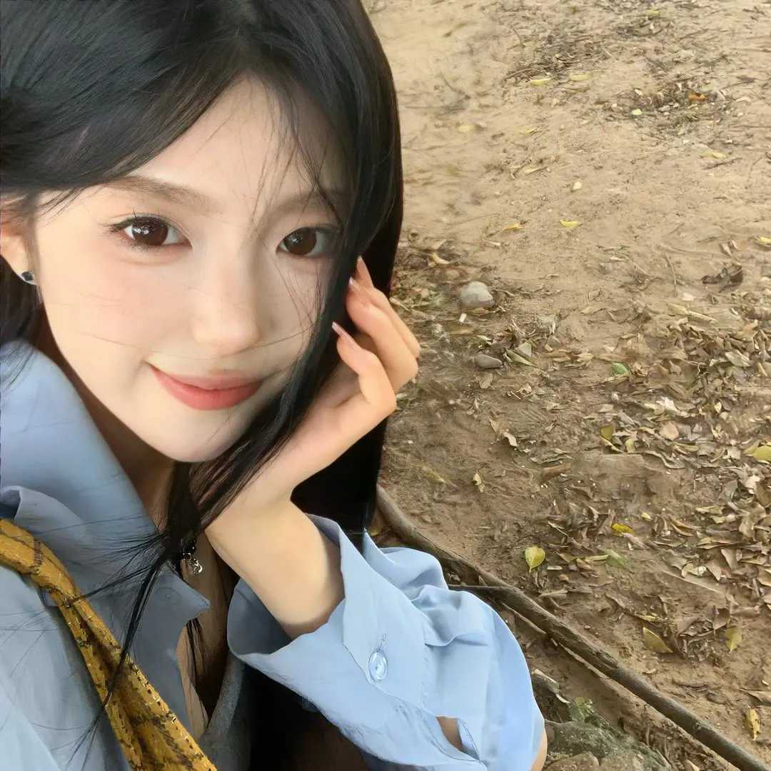 容易受伤的玫瑰